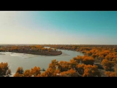 Строительство Синьцзянской молодежной лиги